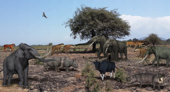 Shivalik Fossil Park Museum in Sirmour