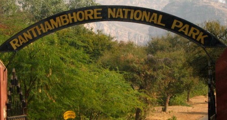 Ranthambhore National Park 