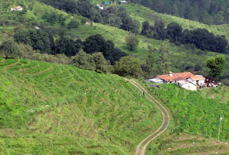 Beautiful Gardens in India Ranikhet