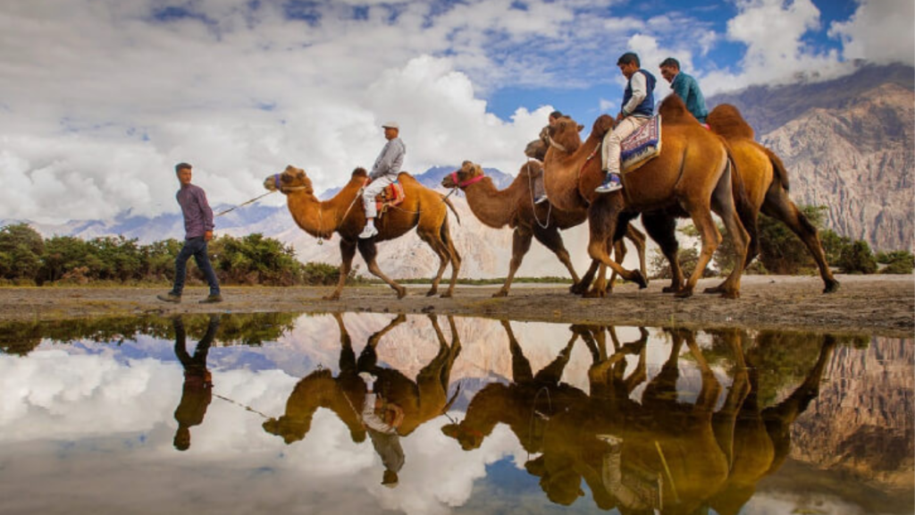 Desert Safari in India