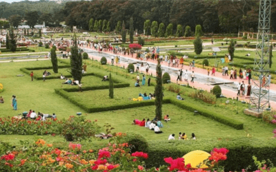 Must-Visit Gardens In India