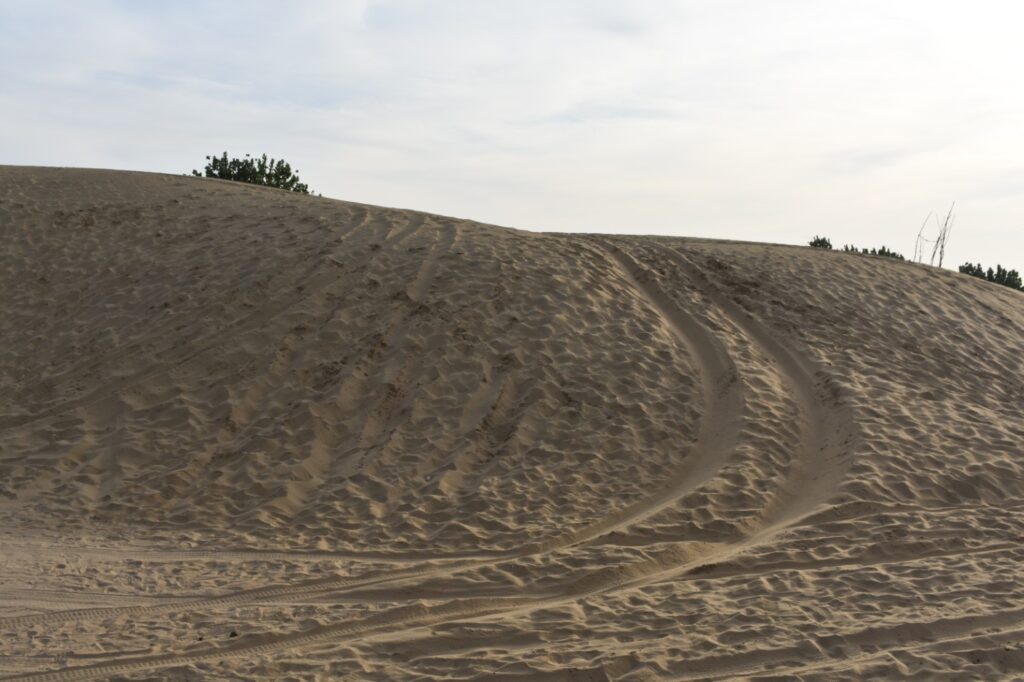 Thar Desert