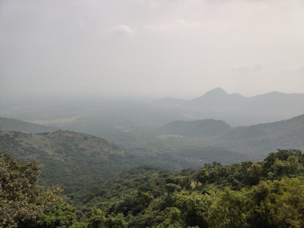 Traveling_Munnar