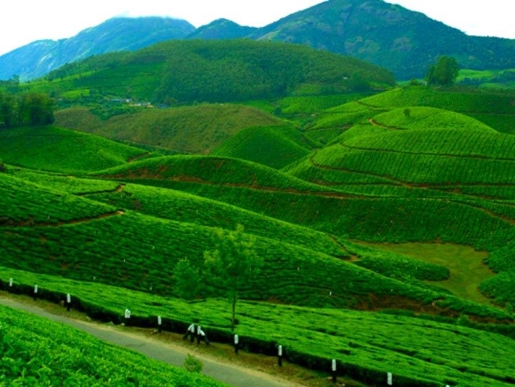 Munnar