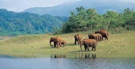 Periyar Wildlife Sanctuary