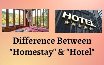 Homestay vs. Hotel: Which one suits you better?